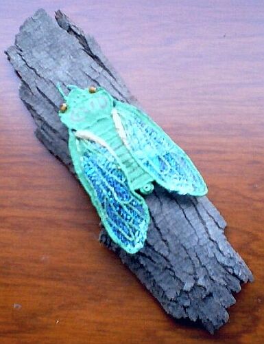 Cicada