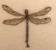 Brown Dragonfly